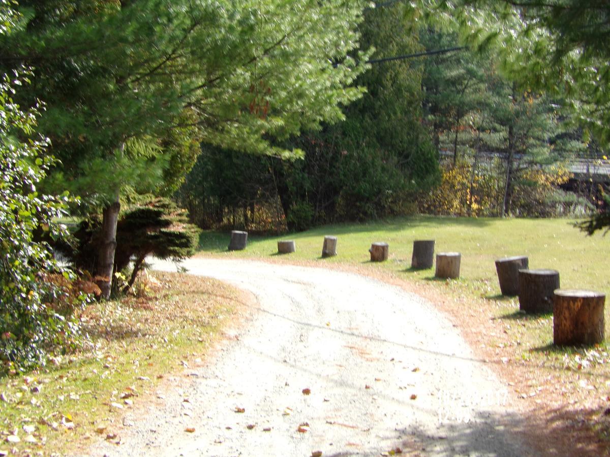 Pine Crest Motel & Cabins Barton Kültér fotó